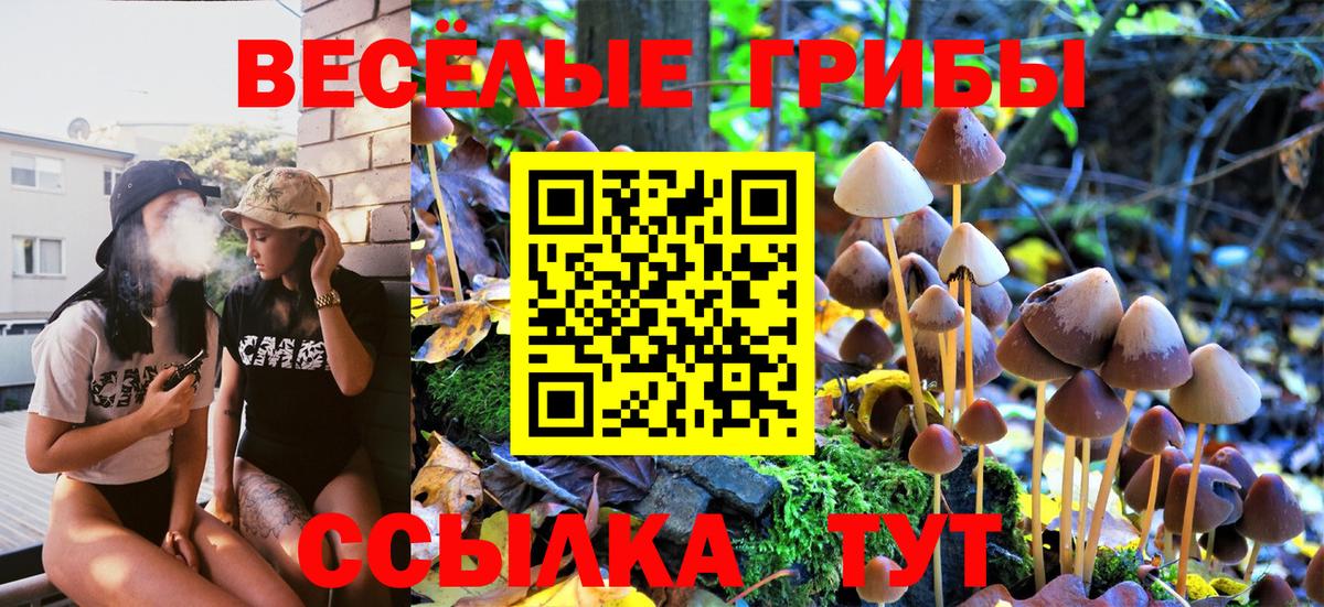 Азнакаево  наркота  Галлюциногенные грибы Magic Shrooms  Вход с VPN  Галлюциногенные грибы Psilocybine cubensis 